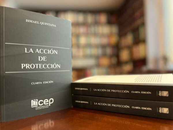 LA ACCIÓN DE PROTECCIÓN