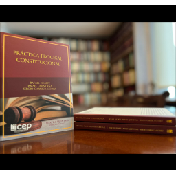 Práctica Procesal Constitucional Alter